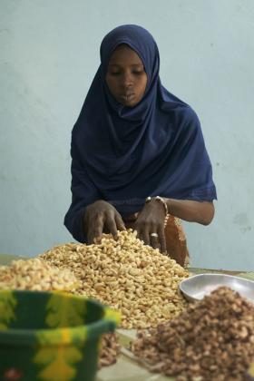 Woman working, Senegal